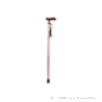 Extendable Plastic Handled Walking Stick with Engraved Pattern